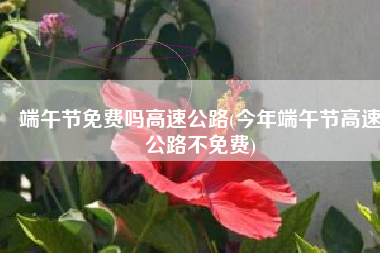 端午节免费吗高速公路(今年端午节高速公路不免费)