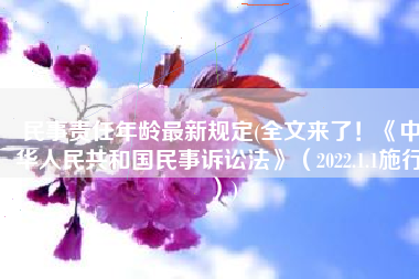 民事责任年龄最新规定(全文来了！《中华人民共和国民事诉讼法》（2022.1.1施行）)