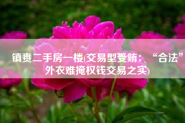 镇赉二手房一楼(交易型受贿：“合法”外衣难掩权钱交易之实)
