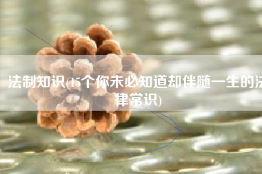 法制知识(15个你未必知道却伴随一生的法律常识)