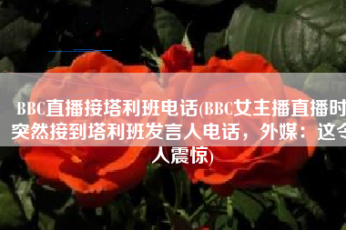 BBC直播接塔利班电话(BBC女主播直播时突然接到塔利班发言人电话，外媒：这令人震惊)