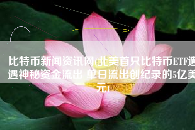 比特币新闻资讯网(北美首只比特币ETF遭遇神秘资金流出 单日流出创纪录的5亿美元)