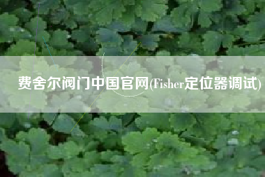 费舍尔阀门中国官网(Fisher定位器调试)