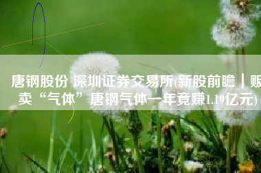 唐钢股份 深圳证券交易所(新股前瞻｜贩卖“气体”唐钢气体一年竟赚1.19亿元)