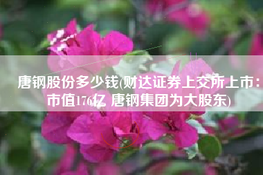 唐钢股份多少钱(财达证券上交所上市：市值176亿 唐钢集团为大股东)