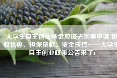 大学生自主创业基金应该去哪里申请(税收优惠、担保贷款、资金扶持……大学生自主创业政策公告来了)