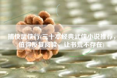 捕快武侠行(三十本经典武侠小说推荐，值得反复阅读，让书荒不存在)