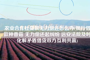 农业合作社贷款无力偿还怎么办(银行借款种香菇 无力偿还起纠纷 远安法院及时化解矛盾借贷双方互利共赢)