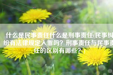 什么是民事责任什么是刑事责任(民事纠纷有法律规定入罪吗？刑事责任与民事责任的区别有哪些？)