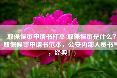 取保候审申请书样本(取保候审是什么？取保候审申请书范本，公安内部人员书写，经典！)