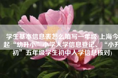学生基本信息表怎么填写一年级(上海今起“幼升小”小学入学信息登记、“小升初”五年级学生初中入学信息核对)