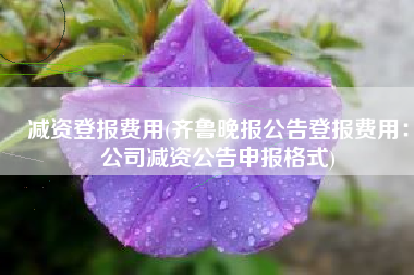 减资登报费用(齐鲁晚报公告登报费用：公司减资公告申报格式)