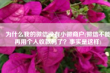 为什么我的微信没有小微商户(微信不能再用个人收款码了？事实是这样)