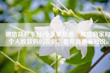 微信商户平台(今天才知道，微信商家和个人收款码的区别，看完真是涨知识)