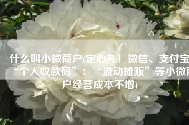 什么叫小微商户(定心丸！微信、支付宝“个人收款码”：“流动摊贩”等小微商户经营成本不增)