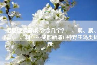 栖息地读音(你会念几个？鸻、鹬、鹛、鹨、鹀、鸫……成都新增10种野生鸟类记录)