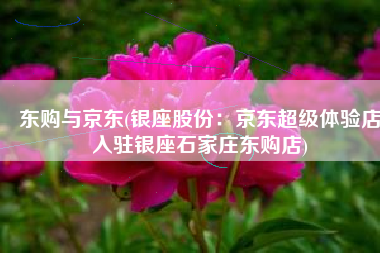 东购与京东(银座股份：京东超级体验店入驻银座石家庄东购店)