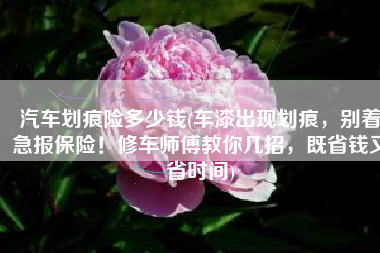 汽车划痕险多少钱(车漆出现划痕，别着急报保险！修车师傅教你几招，既省钱又省时间)