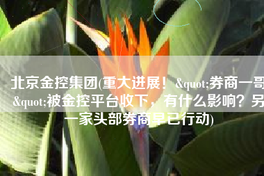 北京金控集团(重大进展！"券商一哥"被金控平台收下，有什么影响？另一家头部券商早已行动)
