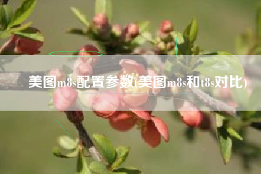 美图m8s配置参数(美图m8s和t8s对比)