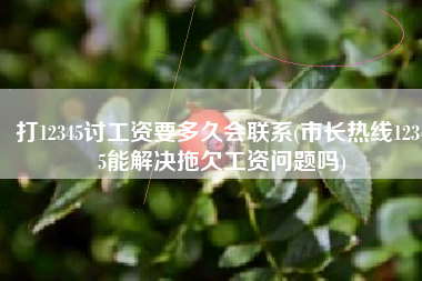 打12345讨工资要多久会联系(市长热线12345能解决拖欠工资问题吗)