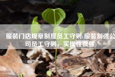 服装门店规章制度员工守则(服装制造公司员工守则，实操性很强)