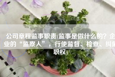 公司章程监事职责(监事是做什么的？企业的“监察人”，行使监督、检查、纠偏职权)