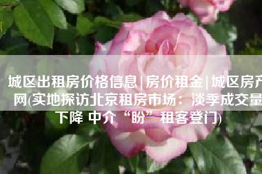 城区出租房价格信息|房价租金|城区房产网(实地探访北京租房市场：淡季成交量下降 中介“盼”租客登门)