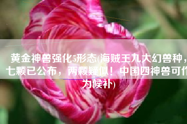 黄金神兽强化5形态(海贼王九大幻兽种，七颗已公布，两颗疑似！中国四神兽可作为候补)