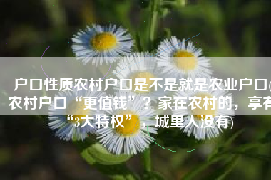 户口性质农村户口是不是就是农业户口(农村户口“更值钱”？家在农村的，享有“3大特权”，城里人没有)