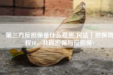 第三方反担保是什么意思(民法｜担保物权10，共同担保与反担保)