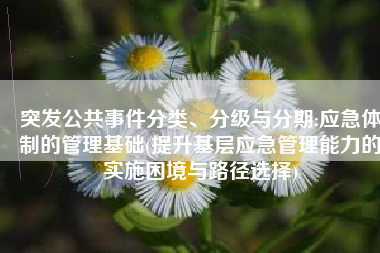 突发公共事件分类、分级与分期:应急体制的管理基础(提升基层应急管理能力的实施困境与路径选择)