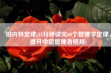 伯内特定律(15分钟读完60个管理学定律，提升中层管理者格局)