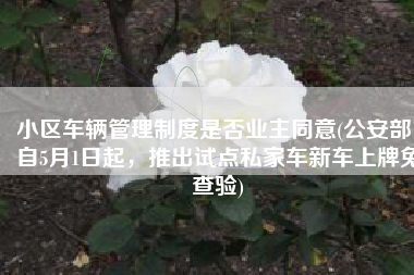 小区车辆管理制度是否业主同意(公安部：自5月1日起，推出试点私家车新车上牌免查验)