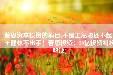 普思资本投资的项目(不是王思聪还不起，王健林不出手！普思投资：20亿投资纠纷解决)