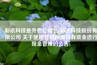 彩讯科技是外包公司么(彩讯科技股份有限公司 关于使用暂时闲置自有资金进行现金管理的公告)