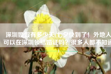 深圳婚假有多少天(七夕快到了！外地人可以在深圳领结婚证吗？很多人都不知道)