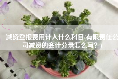减资登报费用计入什么科目(有限责任公司减资的会计分录怎么写？)