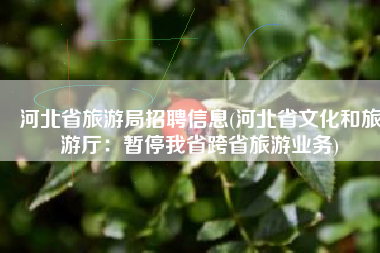 河北省旅游局招聘信息(河北省文化和旅游厅：暂停我省跨省旅游业务)