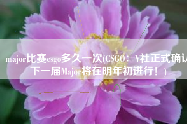 major比赛csgo多久一次(CSGO：V社正式确认下一届Major将在明年初进行！)