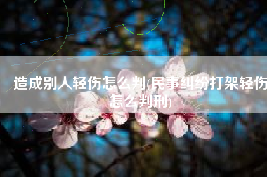 造成别人轻伤怎么判(民事纠纷打架轻伤怎么判刑)