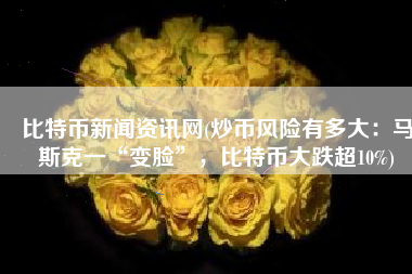 比特币新闻资讯网(炒币风险有多大：马斯克一“变脸”，比特币大跌超10%)