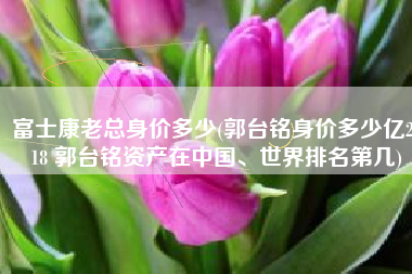 富士康老总身价多少(郭台铭身价多少亿2018 郭台铭资产在中国、世界排名第几)
