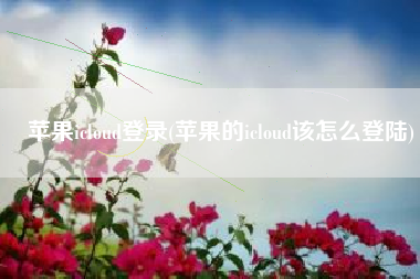 苹果icloud登录(苹果的icloud该怎么登陆)