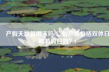 产假天数算周末吗(二胎产假包括双休日和节假日吗？)