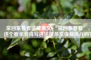 常回家看看法律条文(“常回家看看”，这个要求非得写进法律条文强制执行吗？)