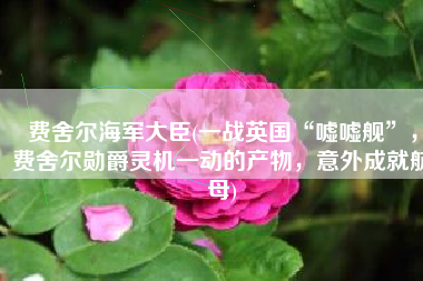 费舍尔海军大臣(一战英国“嘘嘘舰”，费舍尔勋爵灵机一动的产物，意外成就航母)