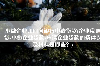 小微企业如何向银行申请贷款(企业税票贷-小微企业贷款-申请企业贷款的条件以及材料是哪些？)
