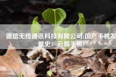 德信无线通讯科技有限公司(国产手机发展史：云狐手机)