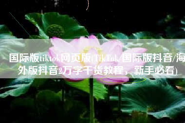 国际版tiktok网页版(TikTok/国际版抖音/海外版抖音2万字干货教程，新手必看)